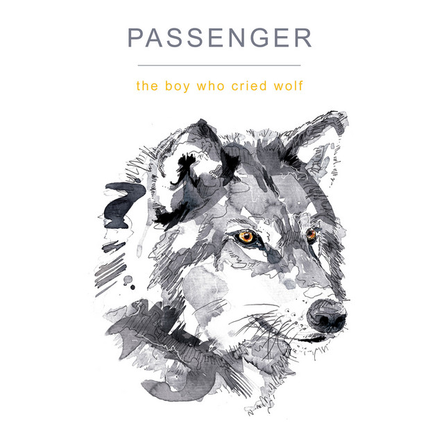 کاور آهنگ Thunder and Lightning از Passenger