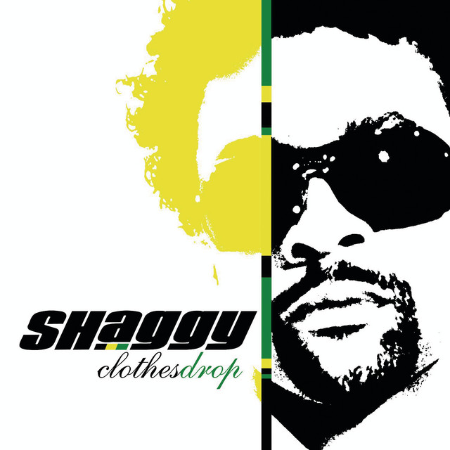 کاور آهنگ Stand Up از Shaggy