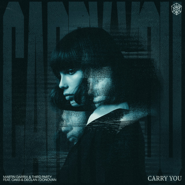 کاور آهنگ Carry You - Extended Mix از Martin Garrix, Oaks, Third Party, Declan J Donovan