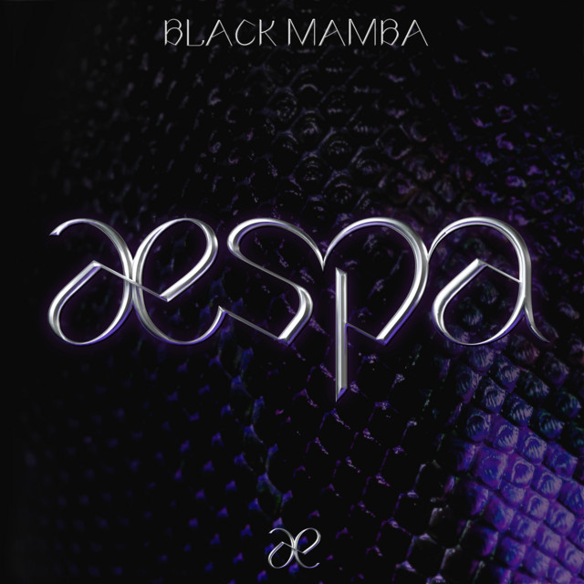 کاور آهنگ Black Mamba از aespa