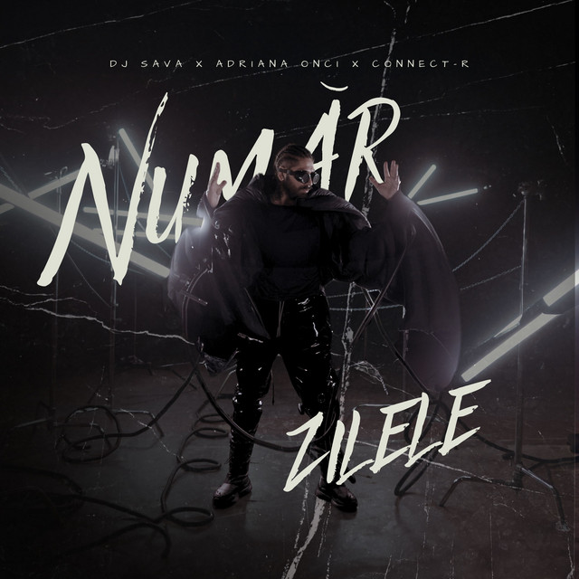 کاور آهنگ Numar zilele از Dj Sava