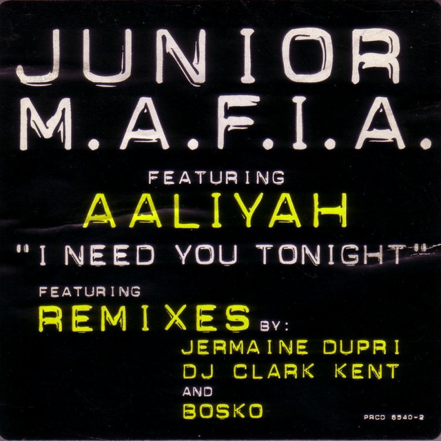کاور آهنگ I Need You Tonight - Boskos Remix از Aaliyah, Junior M.A.F.I.A.