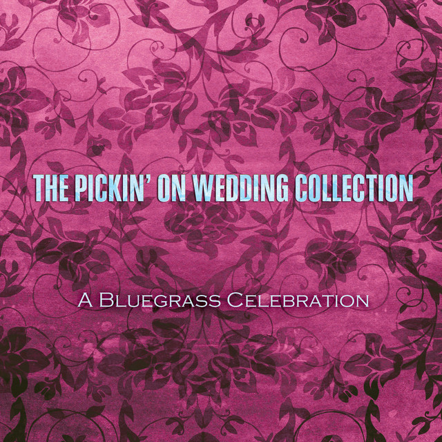 کاور آهنگ Everlong از Pickin' On Series