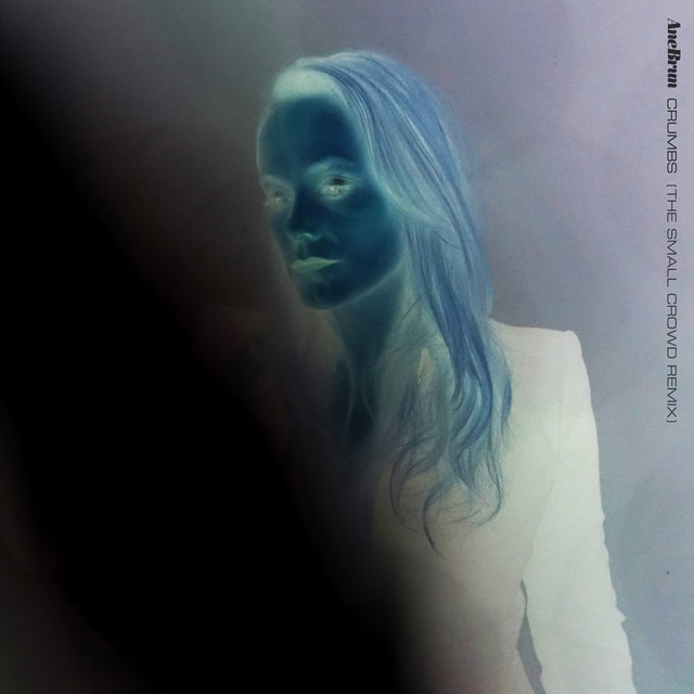 کاور آهنگ Crumbs - The Small Crowd Remix - Radio Edit از Ane Brun