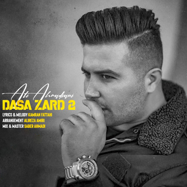 کاور آهنگ Dasa Zard 2 از علی احمدیانی
