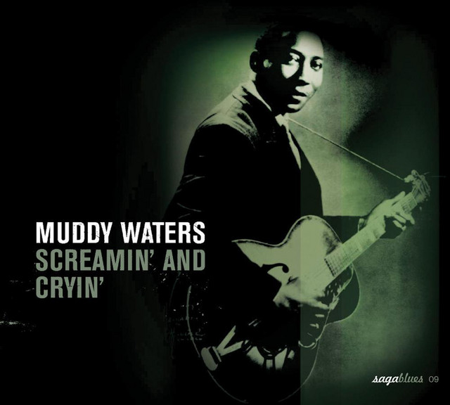 کاور آهنگ I Can't Be Satisfied (Looking For My Baby) از Muddy Waters