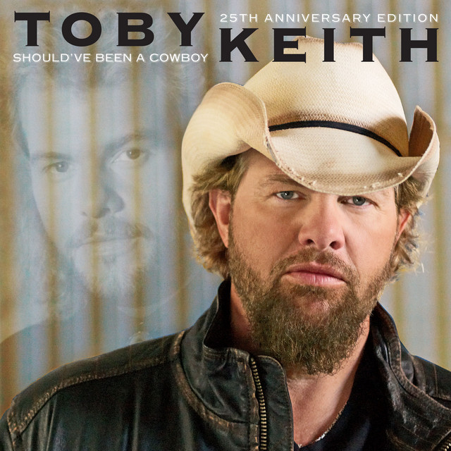 کاور آهنگ Some Kinda Good Kinda Hold On Me از Toby Keith