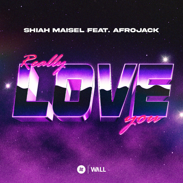 کاور آهنگ Really Love You (feat. Afrojack) از AFROJACK