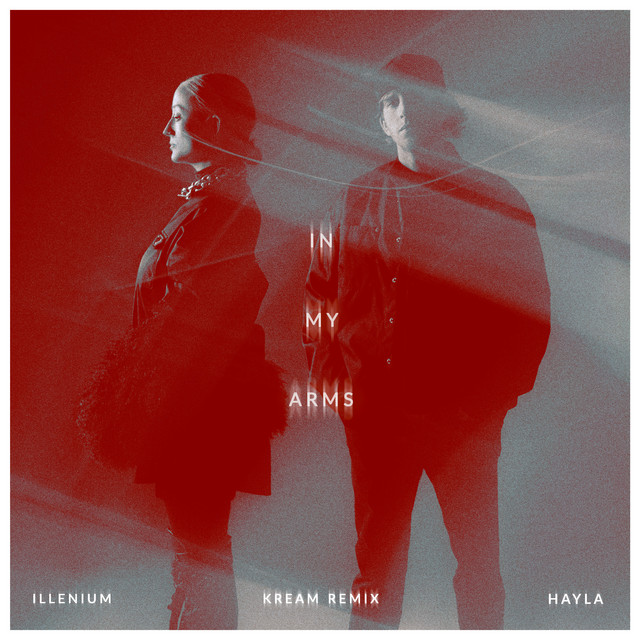 کاور آهنگ In My Arms از ILLENIUM, HAYLA