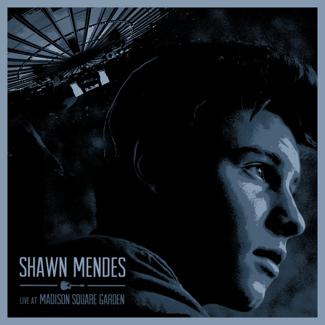 کاور آهنگ I Don't Even Know Your Name / Aftertaste / Kid In Love / I Want You Back - Live Medley از Shawn Mendes