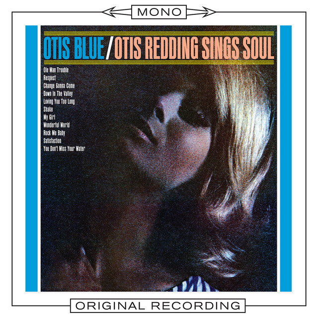 کاور آهنگ You Don't Miss Your Water - Mono از Otis Redding