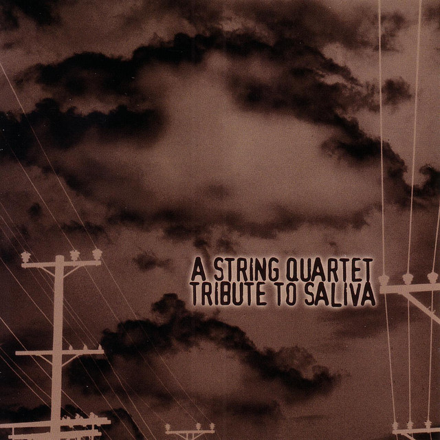 کاور آهنگ Musta' Been Wrong از Vitamin String Quartet