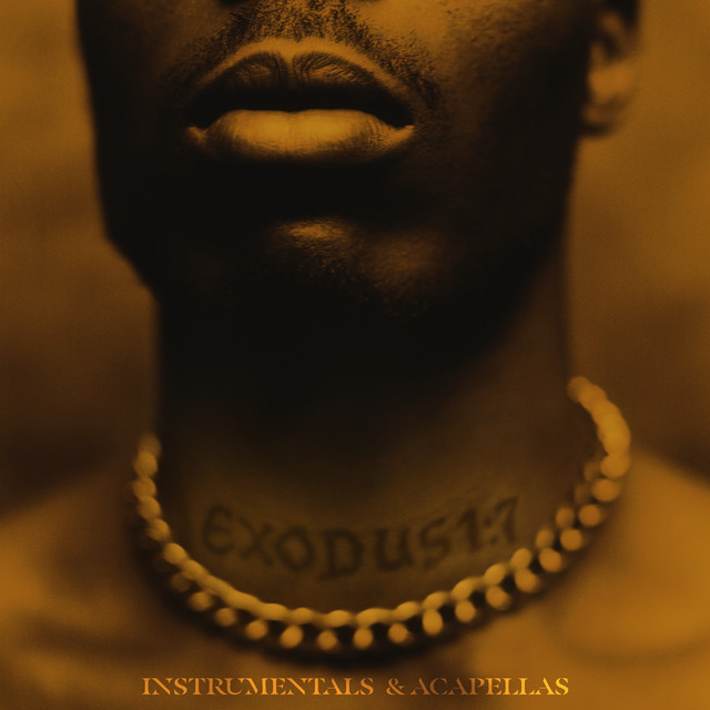 کاور آهنگ Take Control - Instrumental از DMX