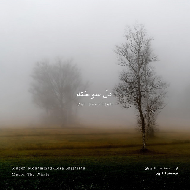 کاور آهنگ دل سوخته - بازآفرینی اثر محمدرضا شجریان از دِ وِیل