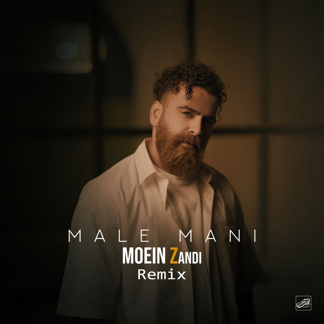 کاور آهنگ ماله منی (ریمیکس علی یادگاری) از علی یادگاری, معین زد