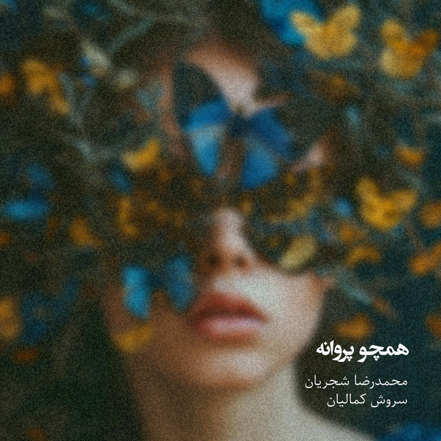 کاور آهنگ مثل یک پروانه از سروش کمالیان, محمدرضا شجریان