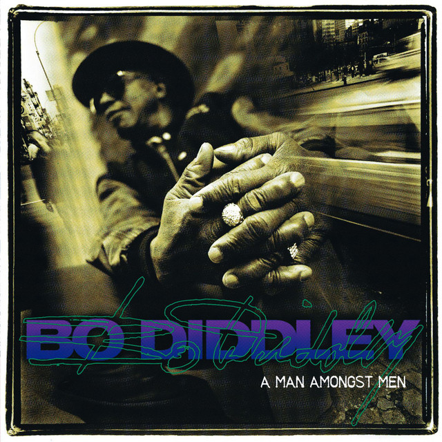 کاور آهنگ I Can't Stand It از Bo Diddley