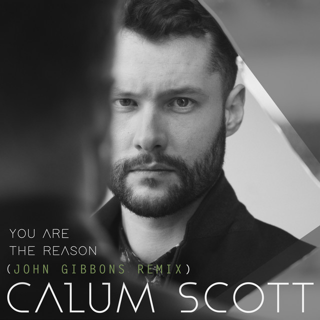 کاور آهنگ You Are The Reason - John Gibbons Remix از Calum Scott, John Gibbons