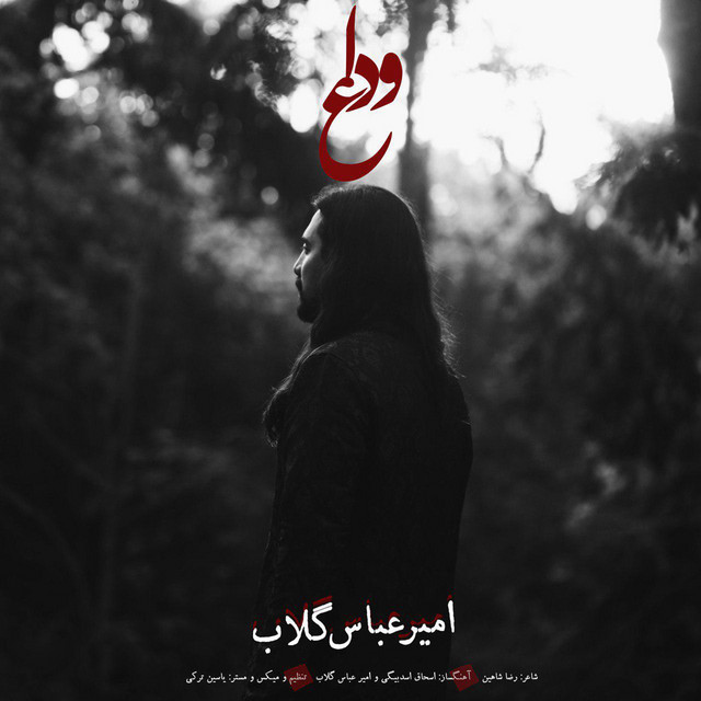 کاور آهنگ وداع از امیرعباس گلاب
