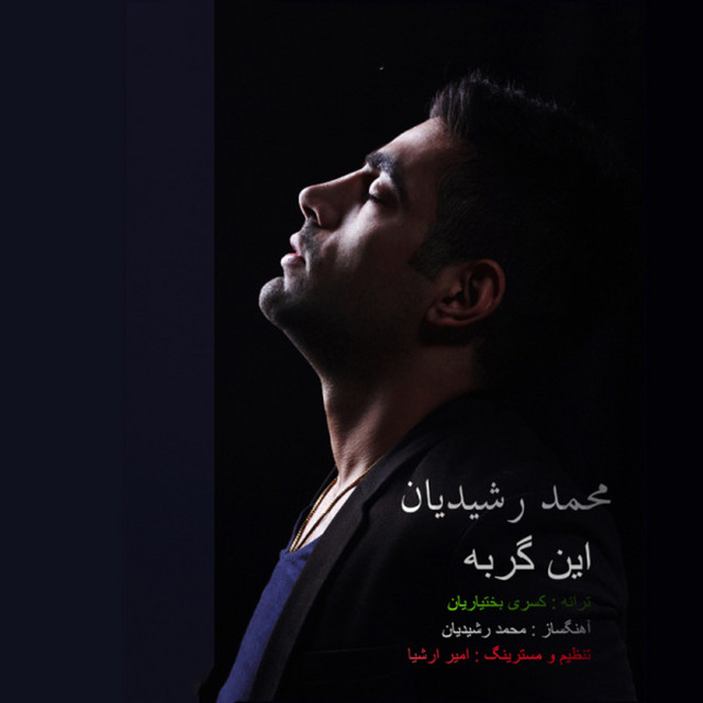 کاور آهنگ این گربه از محمد رشیدیان
