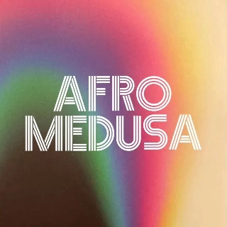 کاور آهنگ Pasilda - Blank & Jones Extended Mix از Blank & Jones, Afro Medusa