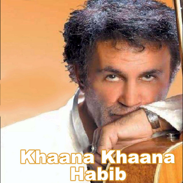کاور آهنگ خانا خانا از حبیب