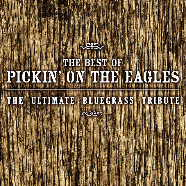 کاور آهنگ Take It To The Limit از Pickin' On Series