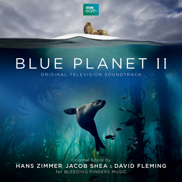 کاور آهنگ Weedy Sea Dragon از Hans Zimmer, Jacob Shea, David Fleming