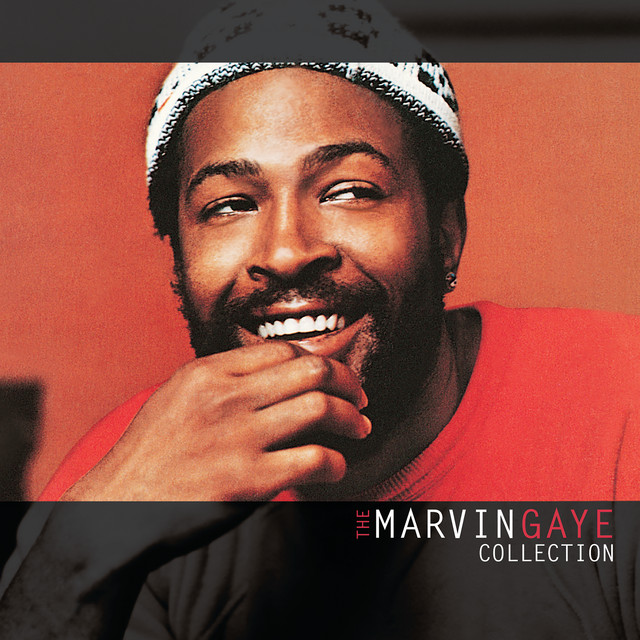 کاور آهنگ Ain't Nothing Like The Real Thing از Marvin Gaye, Tammi Terrell