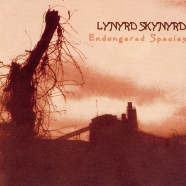 کاور آهنگ All I Have Is A Song از Lynyrd Skynyrd