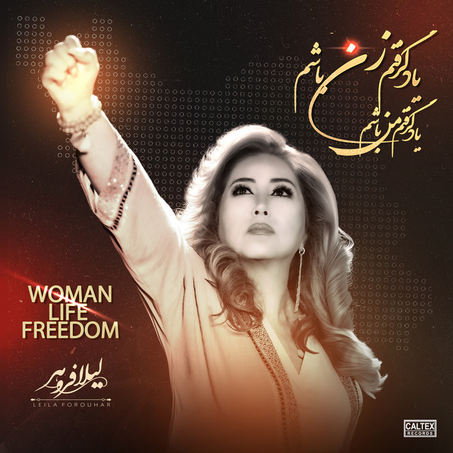 کاور آهنگ یاد گرفتم زن باشم از لیلا فروهر
