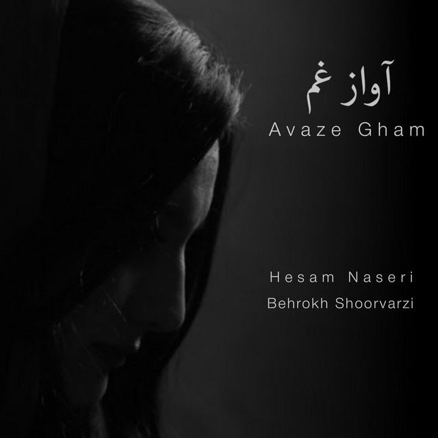 کاور آهنگ آواز غم از حسام ناصری, بهرخ شورورزی