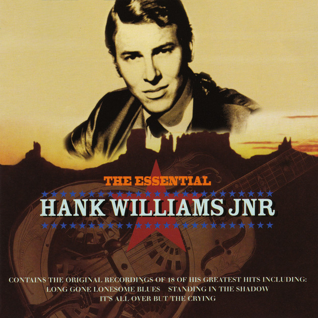کاور آهنگ Stoned At The Jukebox از Hank Williams, Jr.