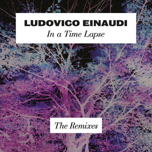 کاور آهنگ Time Lapse - Steven Siegel Remix از Ludovico Einaudi