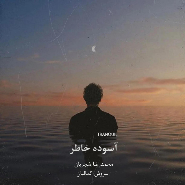 کاور آهنگ آرامش‌بخش از سروش کمالیان, محمدرضا شجریان