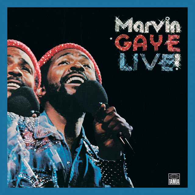 کاور آهنگ Thanks To The Orchestra - Live At Oakland Coliseum, CA/1974 از Marvin Gaye