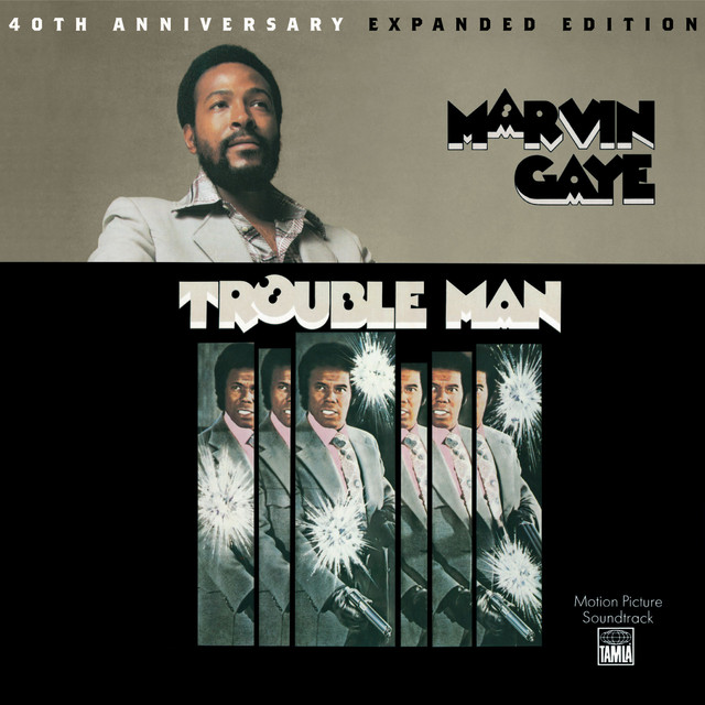 کاور آهنگ The Break In (Police Shoot Big) - Soundtrack Version از Marvin Gaye