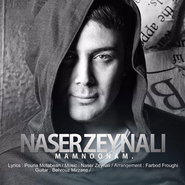کاور آهنگ ممنونم از ناصر زینعلی