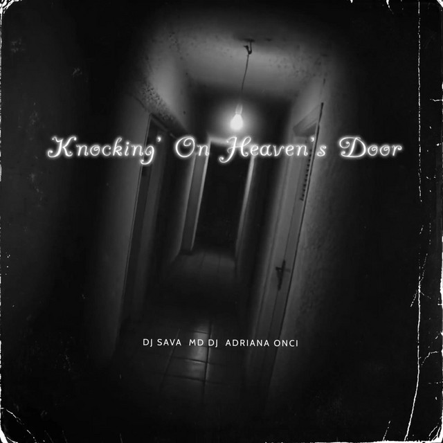 کاور آهنگ Knockin' On Heaven's Door از Dj Sava