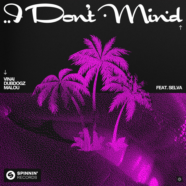 کاور آهنگ I Don't Mind (feat. Selva) - Extended Mix از Dubdogz, Selva, VINAI, Malou