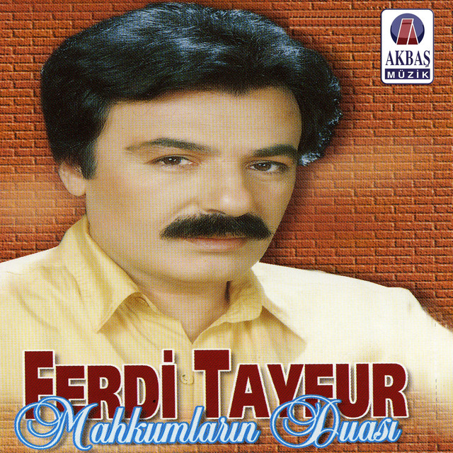 کاور آهنگ Sakın Düşme از Ferdi Tayfur