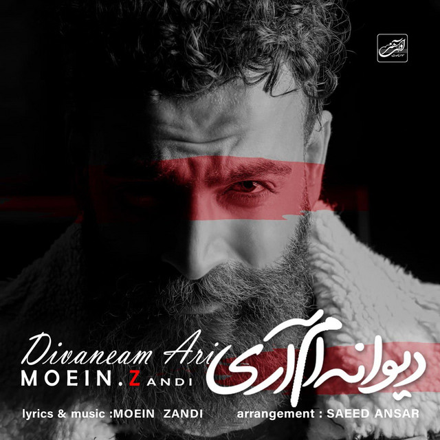 کاور آهنگ دیوانه‌ام آری از معین زد