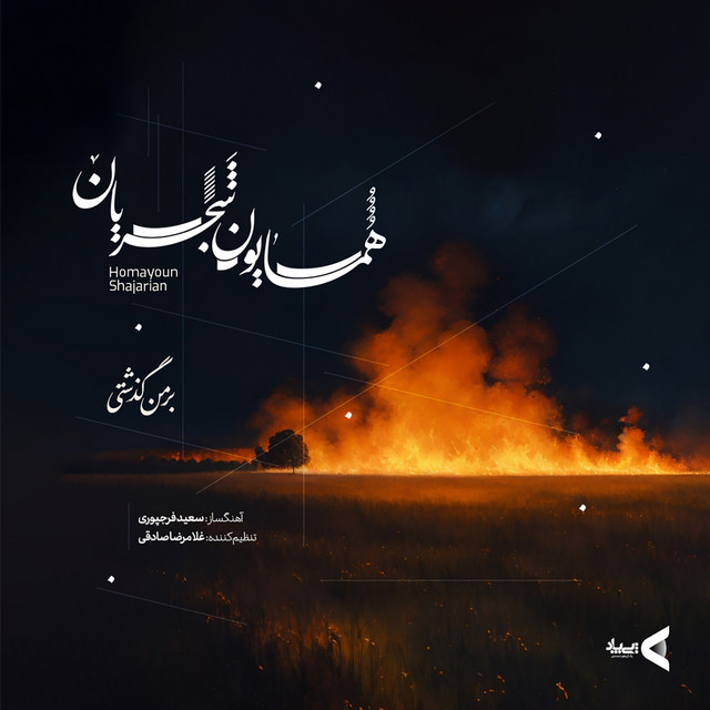 کاور آهنگ بر من گذشتی از همایون شجریان