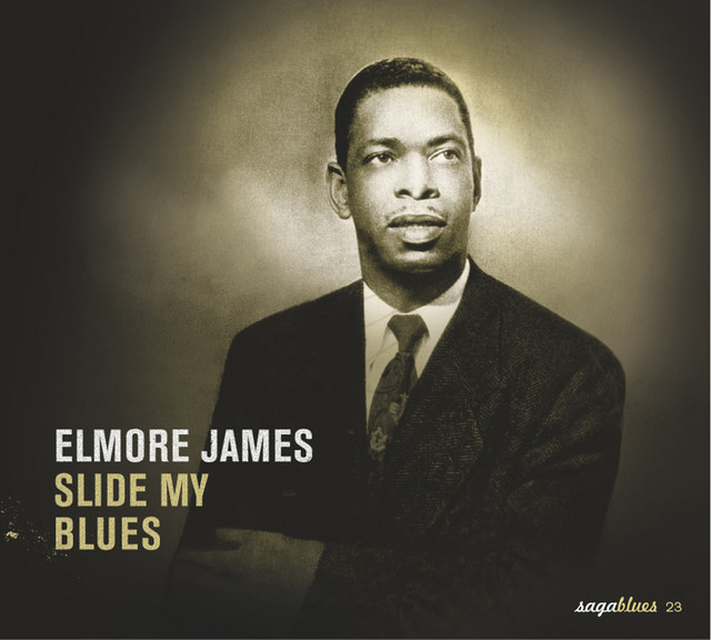 کاور آهنگ Sunny Land از Elmore James