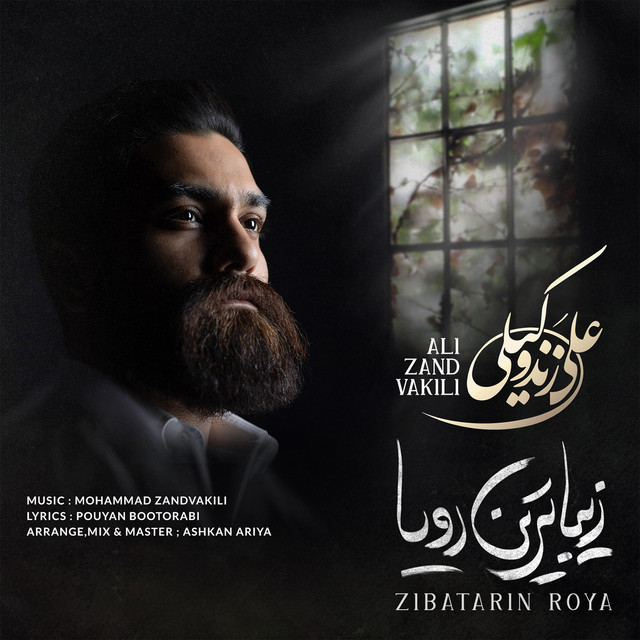 کاور آهنگ زیباترین رویا از علی زندوکیلی