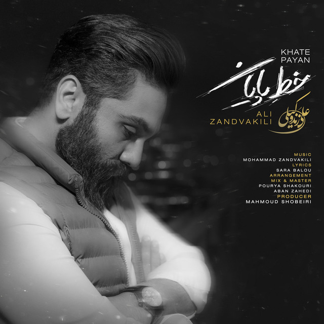 کاور آهنگ خط پایان از علی زندوکیلی