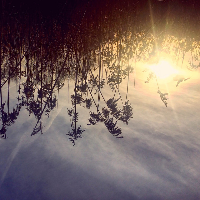 کاور آهنگ Into My Arms از Ane Brun