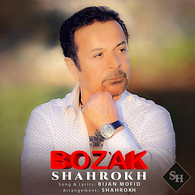 کاور آهنگ بزک از شاهرخ