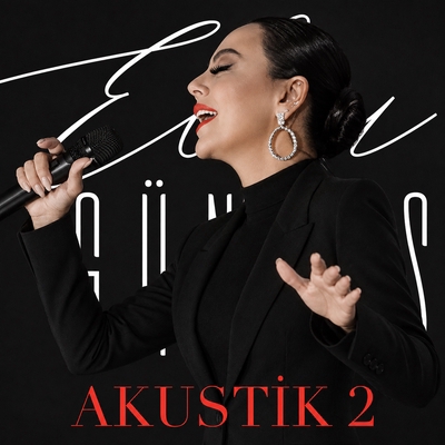 کاور آهنگ Seni Seviyorum از Ebru Gundes