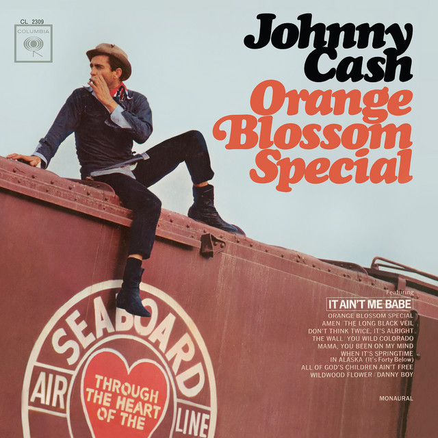 کاور آهنگ Orange Blossom Special از Johnny Cash